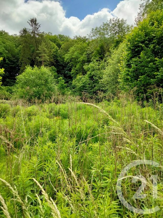 Terrain à vendre - 562 m2 - Pierrefonds - 60 - PICARDIE